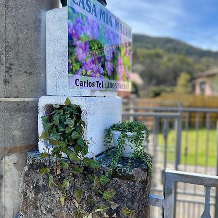 Casa Mia Malva Lägenhet Riccò del Golfo di Spezia Exteriör bild