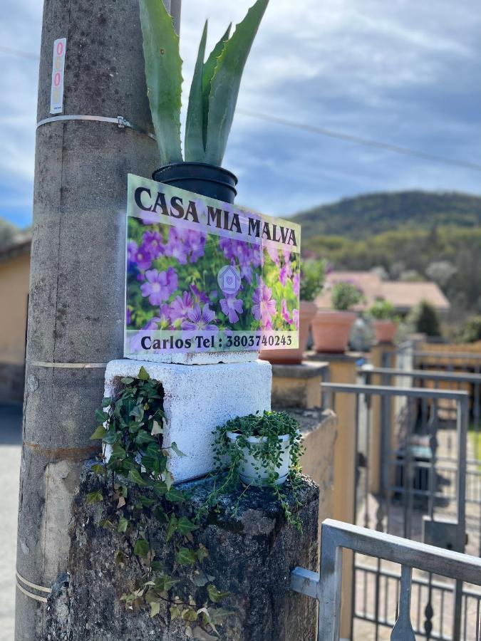 Casa Mia Malva Lägenhet Riccò del Golfo di Spezia Exteriör bild