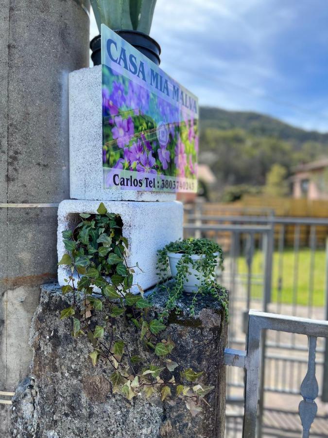 Casa Mia Malva Lägenhet Riccò del Golfo di Spezia Exteriör bild